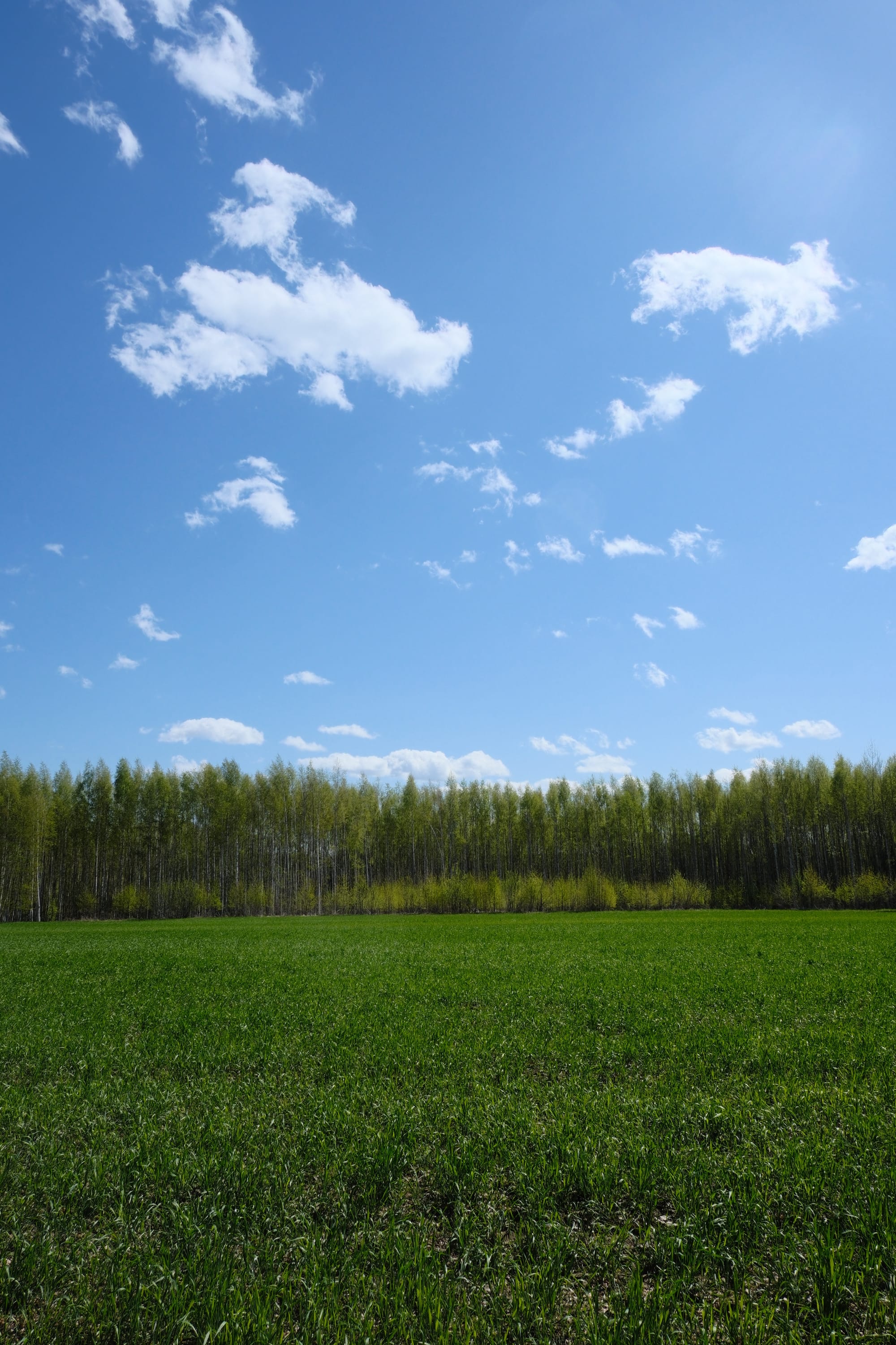My trip to the countryside