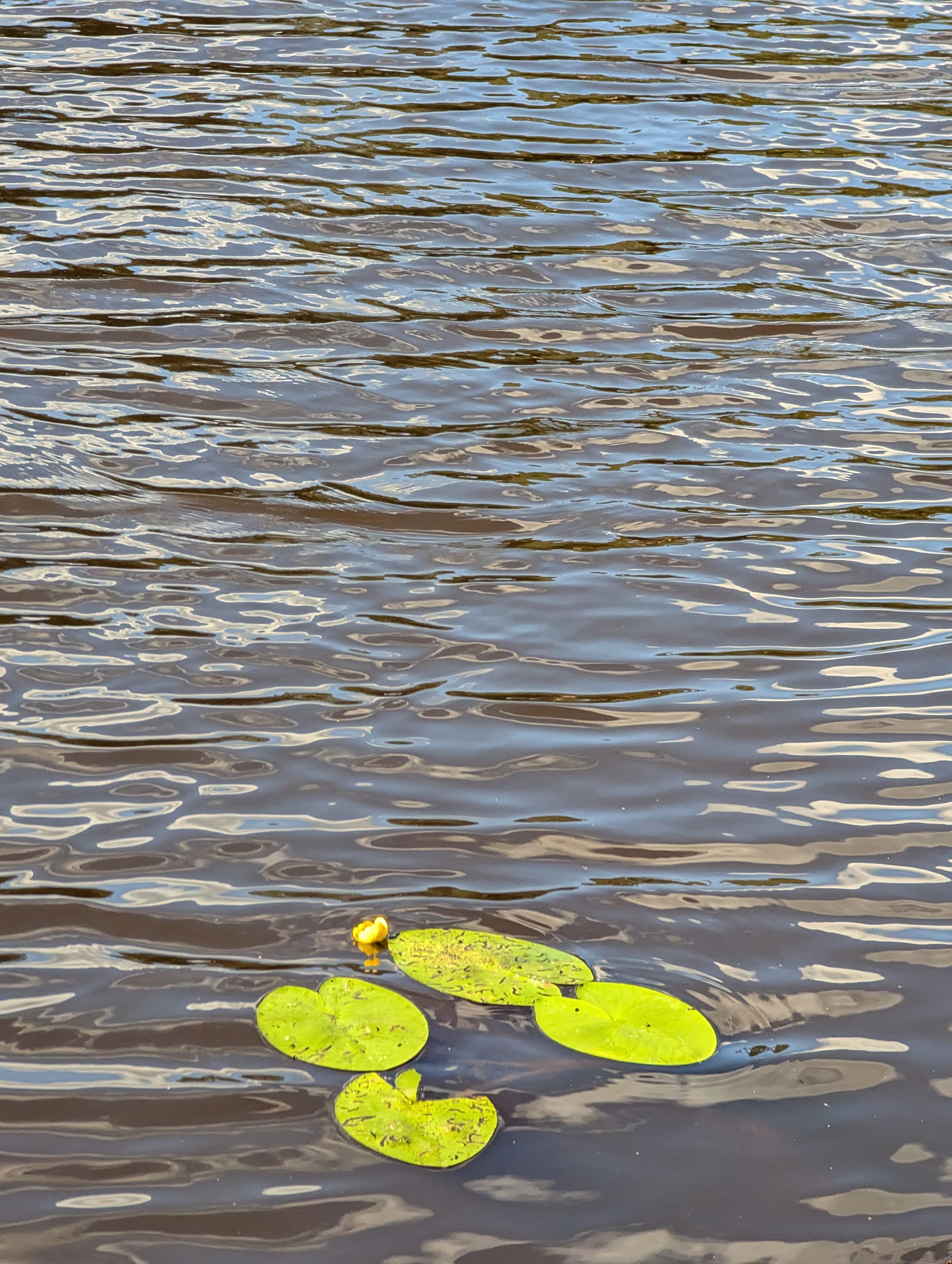 I visited Saint Petersburg without a camera