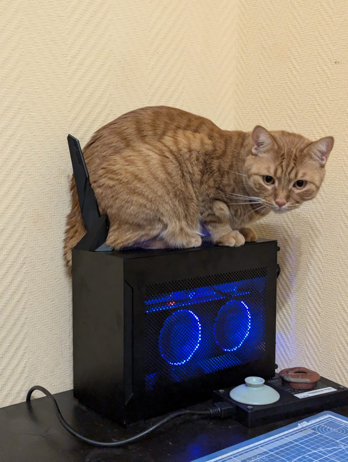 Installing Ollama on Ubuntu & Arc A770 GPU
