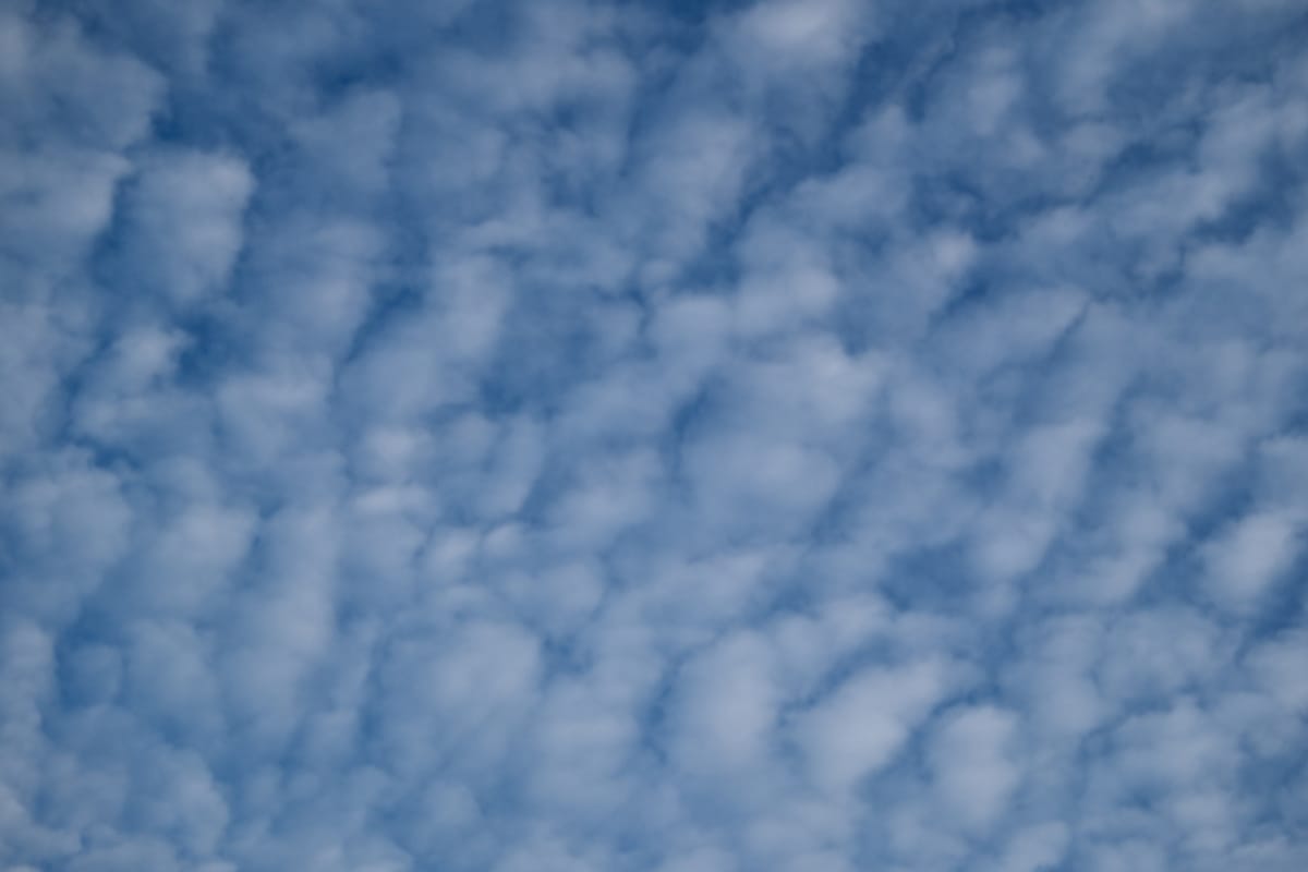 Golden autumn of 2025. Early-mid October